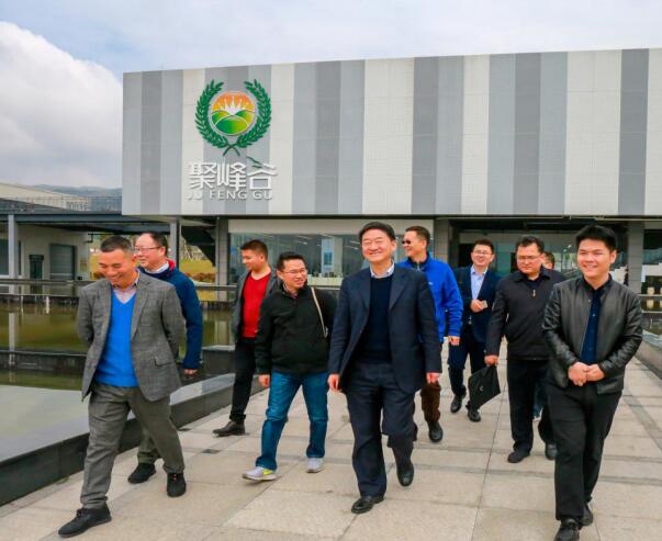 集团党委书记、董事长任丁率队调研聚峰谷