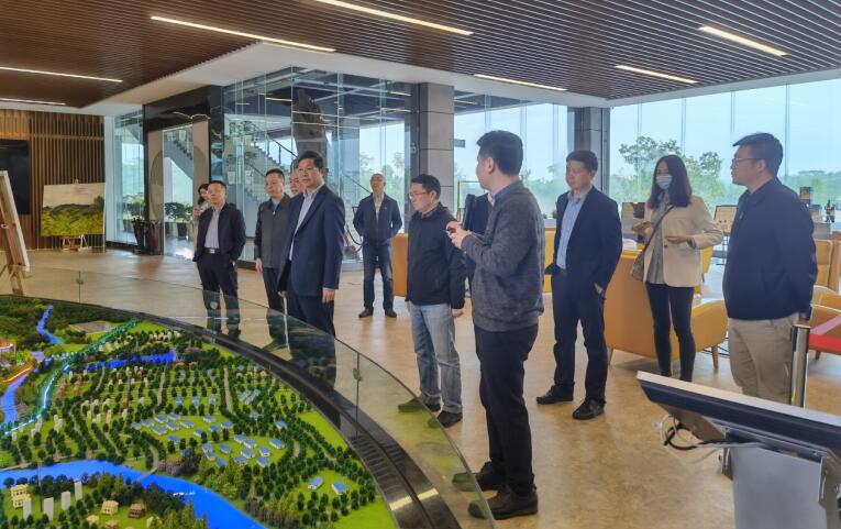 广西旅发集团党委书记、董事长容贤标考察集团文旅项目