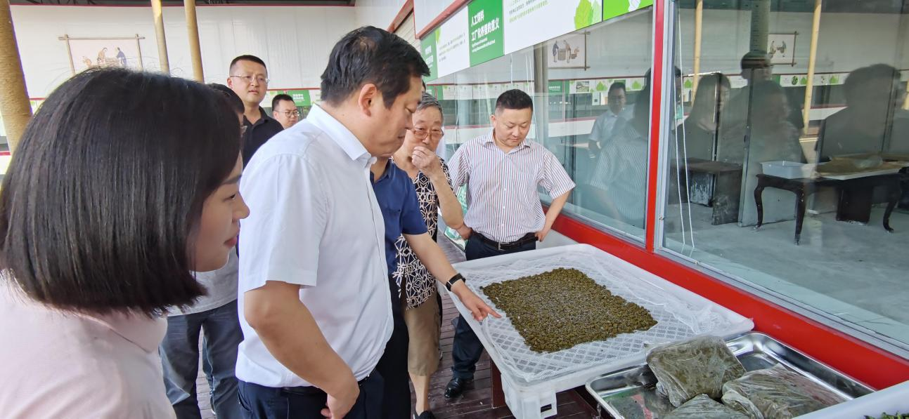 省尊龙凯时集团党委副书记、董事陈日赴嘉陵区调研茶桑产业发展情况