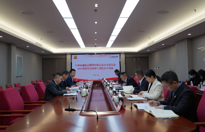 尊龙凯时集团党委书记、董事长任丁出席安逸酒店集团2022年度党员领导干部民主生活会